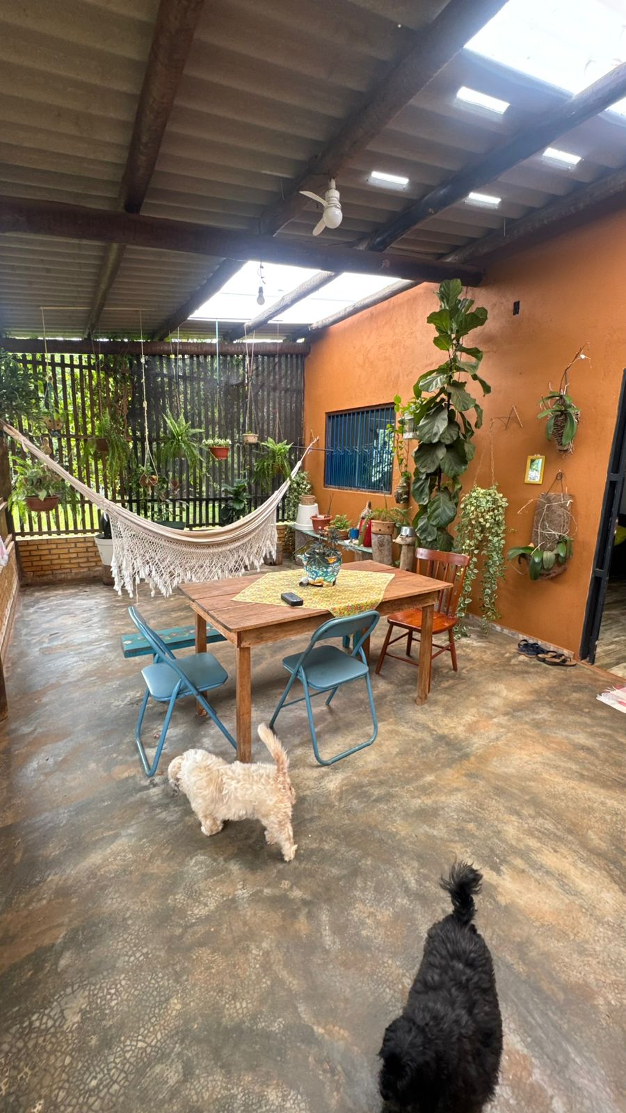 Apartamento - Foto 12